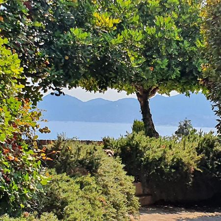 Haus Mit Garten Ueber Der Bucht Von Cannes Валлорис Экстерьер фото
