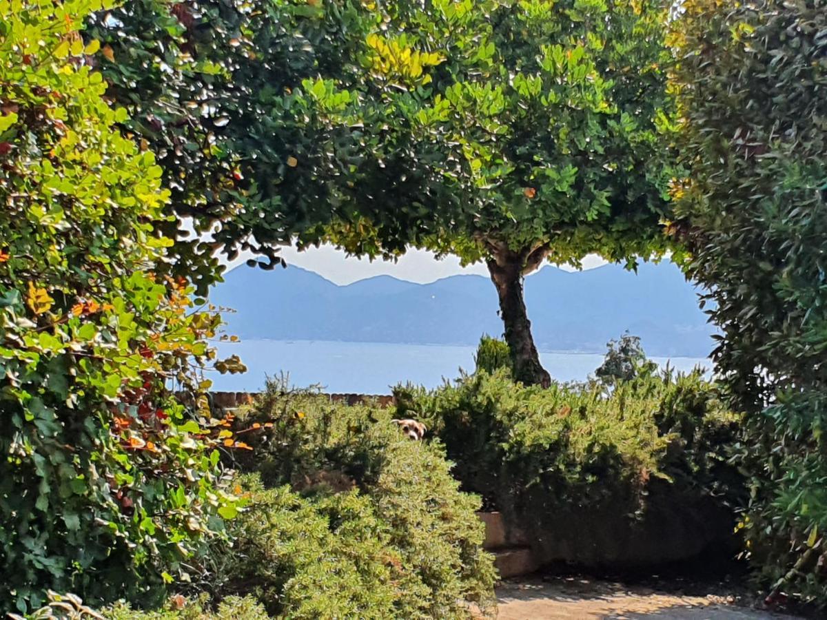 Haus Mit Garten Ueber Der Bucht Von Cannes Валлорис Экстерьер фото